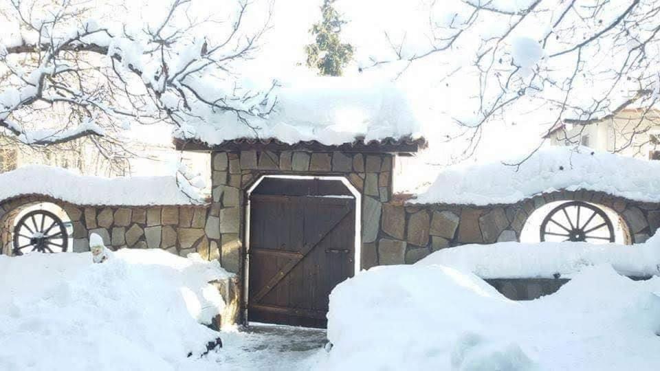 Семеен Хотел Национал مينيرال باني المظهر الخارجي الصورة